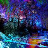 Snow Blue Magic