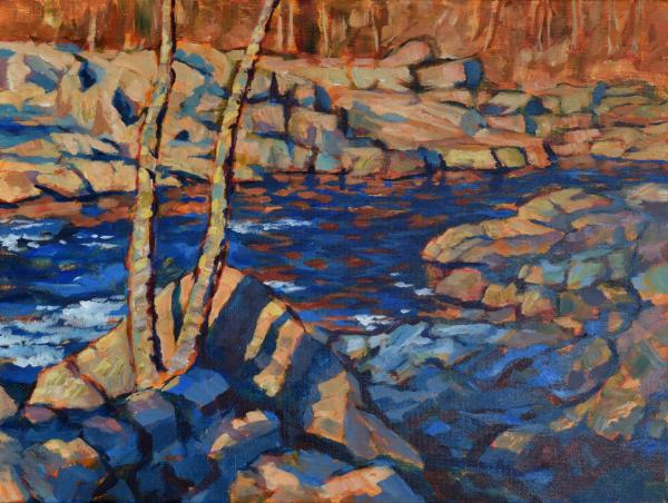 Salmon Falls #3