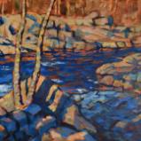 Salmon Falls #3