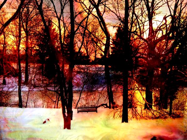 snow scene 009 edited 4