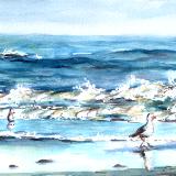 Beach with Gulls #3