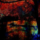 Manipulated Digital Photos