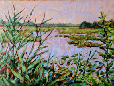 Mannington Meadow Summer
